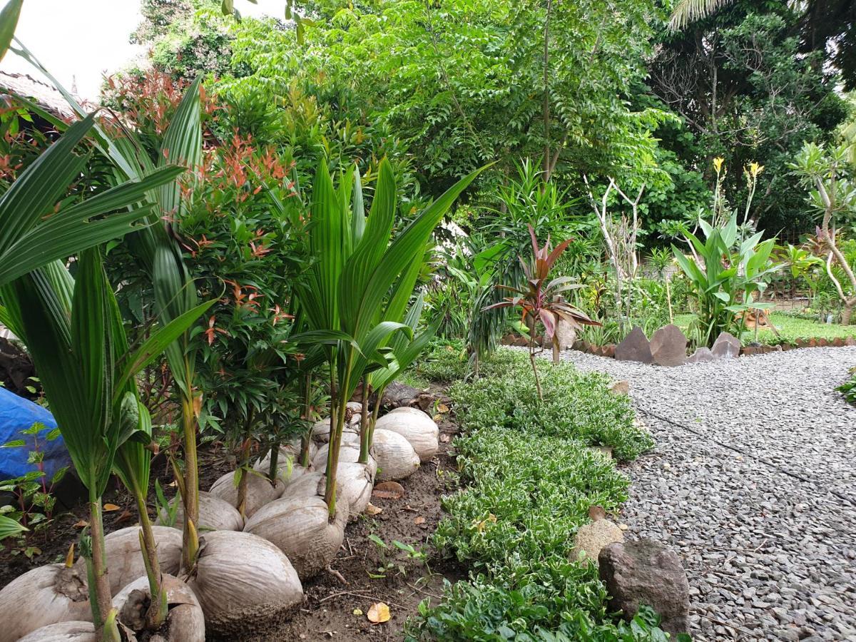 Same Same Bungalows - Eco Friendly Kuta  エクステリア 写真